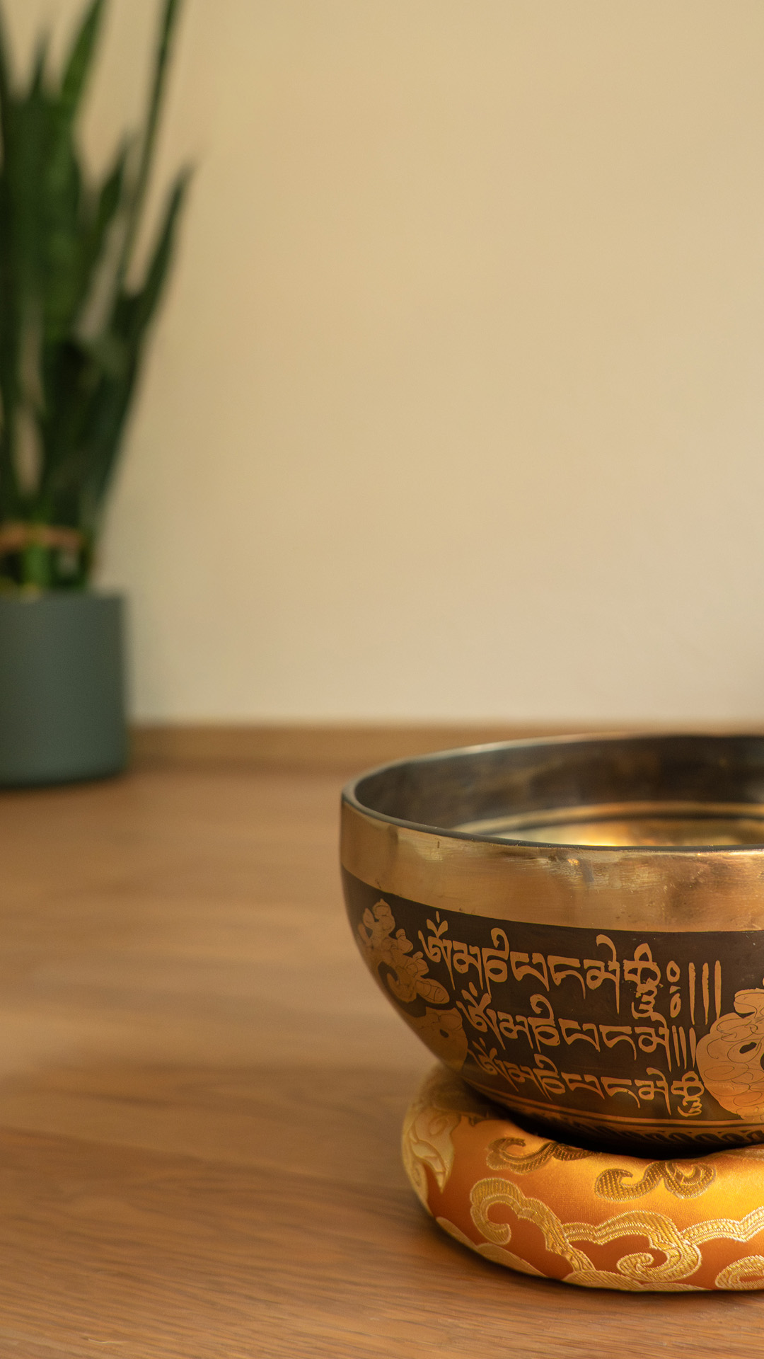 Gentle yoga and flow yoga classes for beginners and regular practice